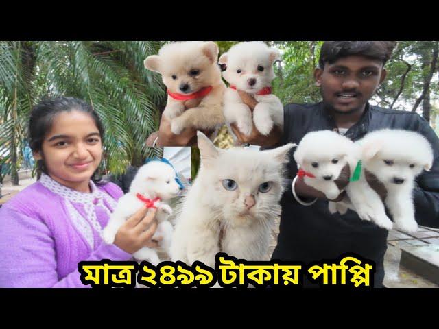 Naihati Dog Market | Naihati Pet Market Location | Recent Puppy price Update | Galiff Street Kolkata