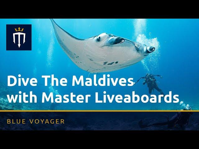 Diving the Maldives with Master Liveaboards