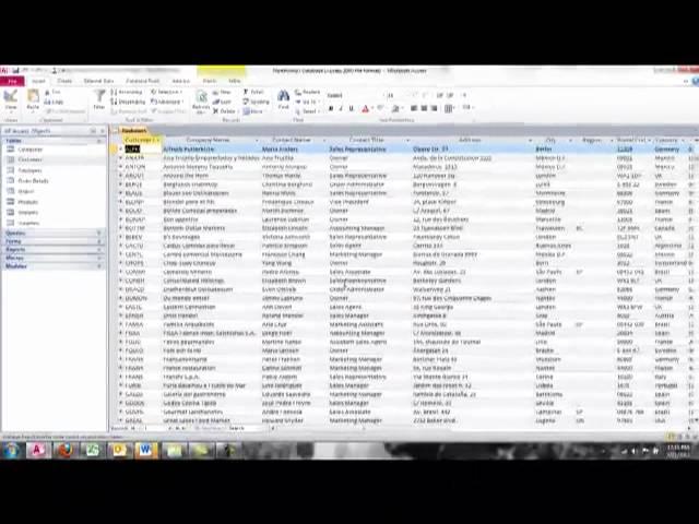 Microsoft Access Tips -- Object Views by Lisa Friedrichsen