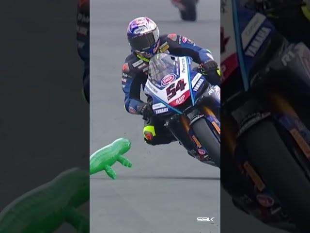 Crocodile at Assen?!  | #NLDWorldSBK 