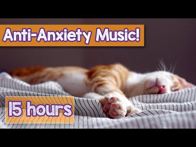 Calming Music for Cats with Anxiety! Deep Soothing Music for Anxious, ill and Stressed Cats! (2018)