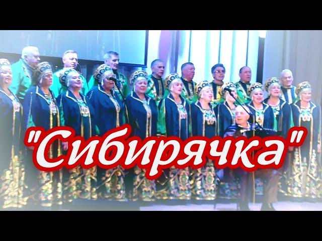 Песни под гармонь ️ Пой моя гармонь  -  Хор "Сибирячка"