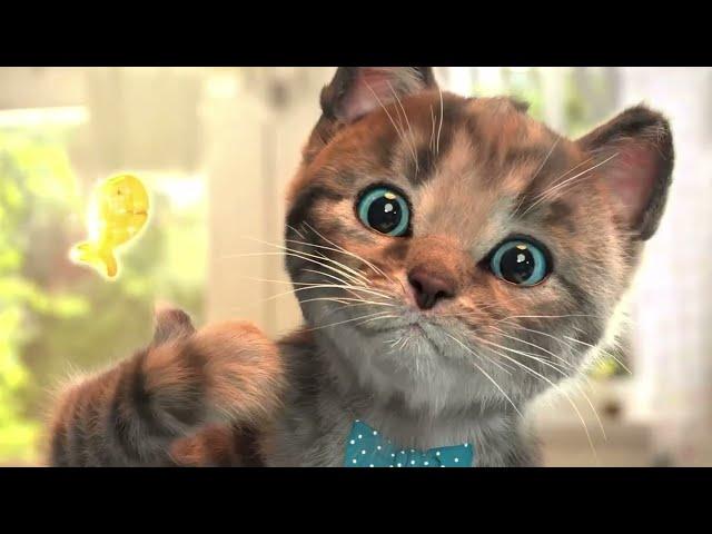 Cute Kitten Little Cat Adventure - Play Fun Pet Care - Preschool Educational Games #904