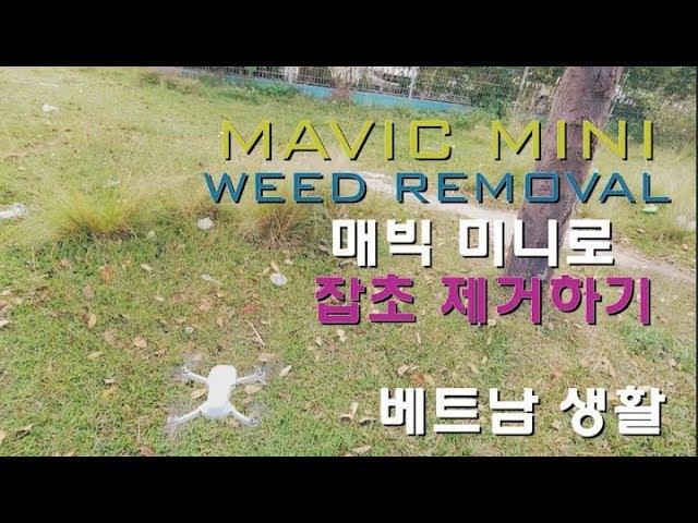 Mavic mini. it's used for weed removal? Vietnam Life Drone Hobby.