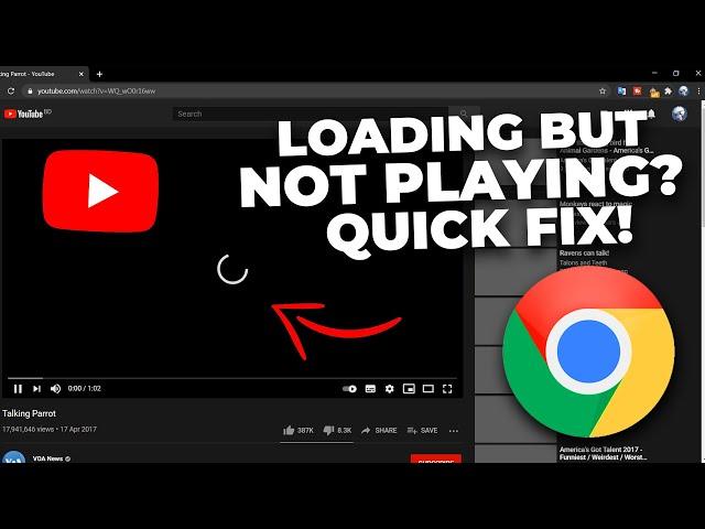 YouTube Video Doesn't Play in Chrome? Quick Fix!!!