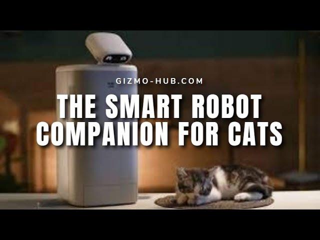 O-SITTER : THE SMART ROBOT COMPANION FOR CATS | Gizmo-Hub.com