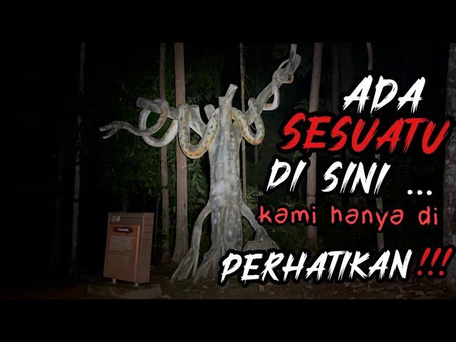 BEGITU BESAR Apa yang Ada di HUTAN Ini | Suasana berubah 360 darjah Menambah Keseraman | ADA Guli??