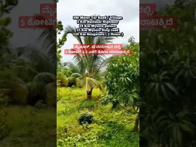 4.5 Acre Fully Developed Farmland sale in Mysore T narasipura , Charan 7338474634