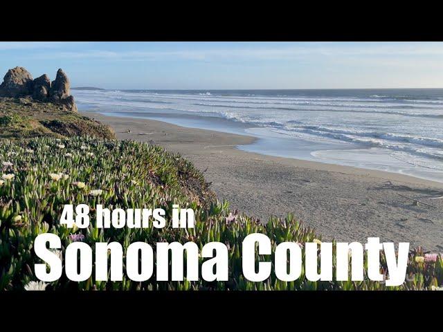 48 hours in Sonoma County