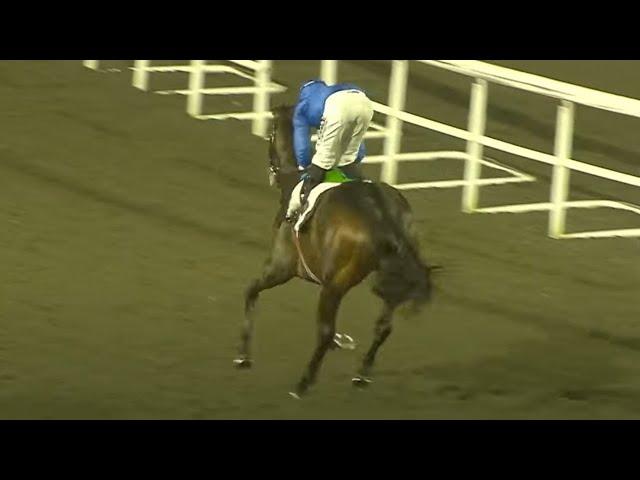 OPERA BALLO 20/1 for 2000 Guineas after explosive debut | Racing TV