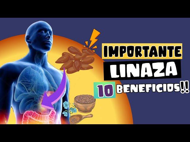 CIENTÍFICOS REVELAN 10 BENEFICIOS DE LA LINAZA , LA SEMILLA MILAGROSA