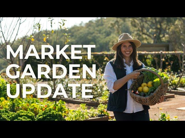 Winter Market Garden Update