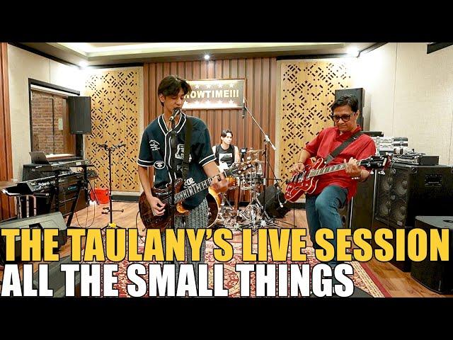 THE TAULANY'S - ALL THE SMALL THINGS ( LIVE SESSION )