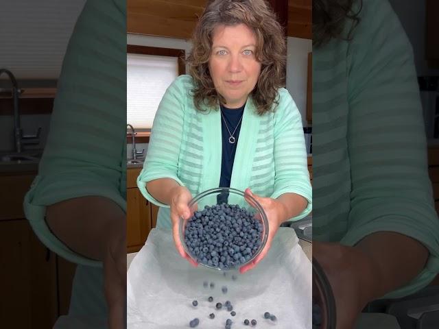 Best Way to Freeze fresh blueberries #foodpreservation #freezingfruit #blueberries #preserving