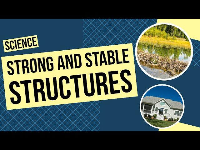 All About Strong and Stable Structures