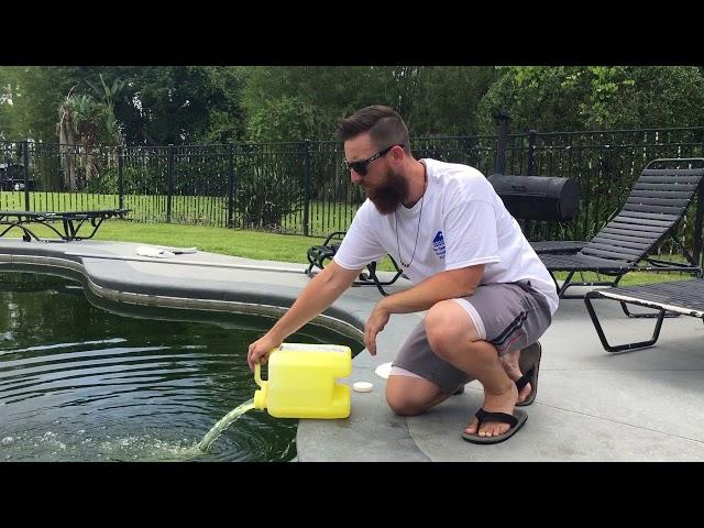 Tips On Green Pool Cleaning