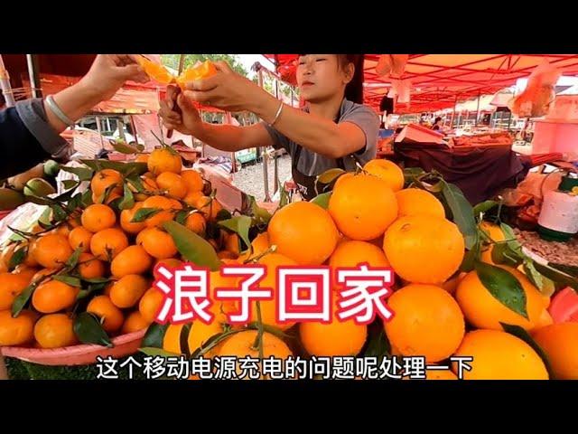 床车自驾，木公与汪汪妹分开，各奔东西，各回各家是为了什么【汪汪妹流浪记】