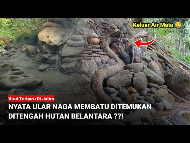 Viral Terbaru!! NYATA ULAR NAGA MEMBATU DITEMUKAN DITENGAH HUTAN BELANTARA ??!