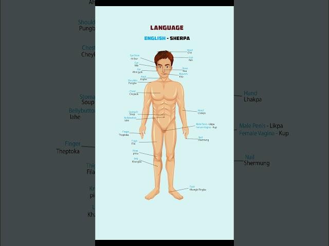 English to Sherpa Language: Body Parts
