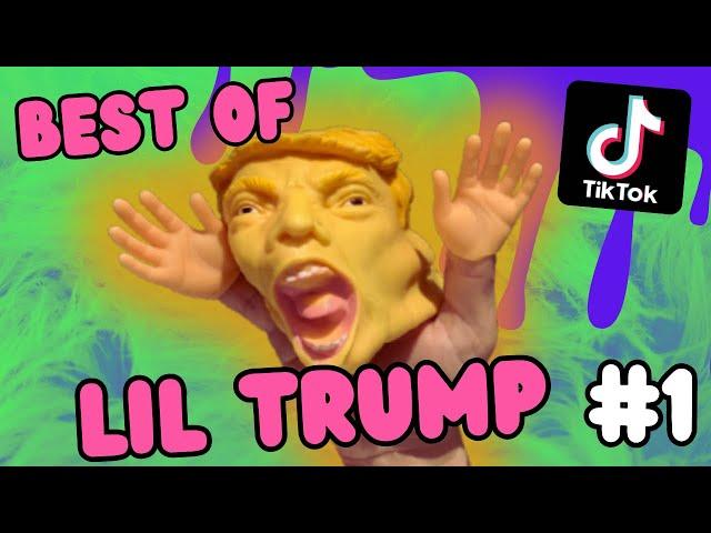 Trump Puppet Tiktok Compilation | Part 1