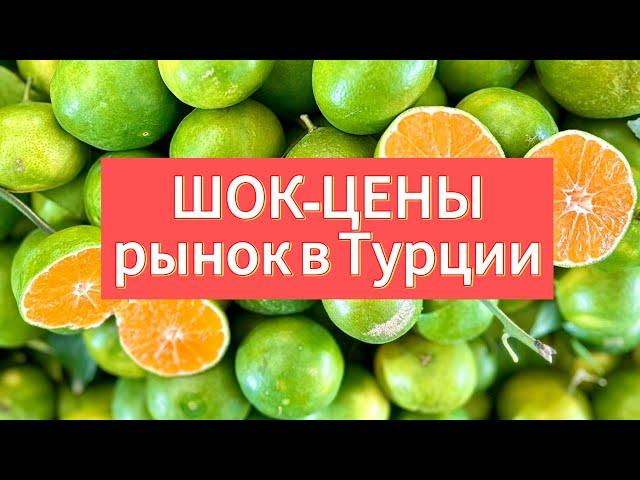 ШОК-ЦЕНЫ #14. РЫНОК В АЛАНЬЕ СЕГОДНЯ 