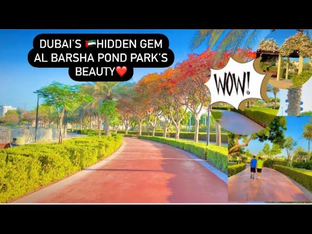 4k Exploring Al Barsha Pond Park in Dubai|A Tranquil Oasis in thecity|Most Visited TouristSpot