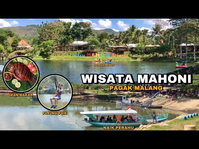 WISATA MAHONI DEMPOK PAGAK MALANG