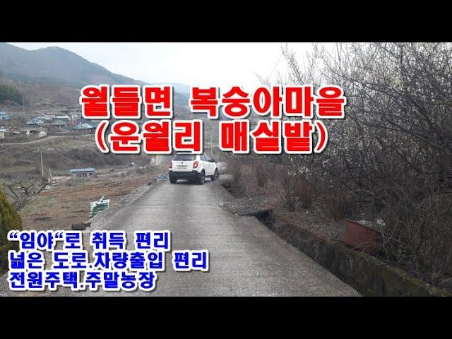 순천시 토지 3천5백만원 / 월등면 운월리 복숭아마을 내 관리되지 않은 매실밭624m2(약188)