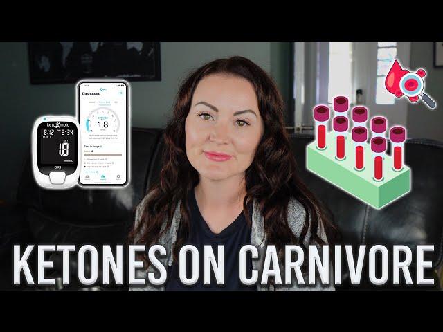 Shocking Lessons from 90 Days Tracking Blood Ketones