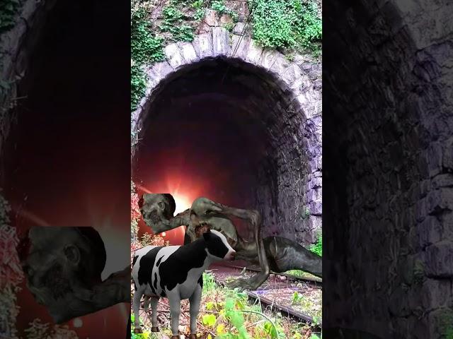 Ghost trying to stop the train #vfx #shorts #viral #trending