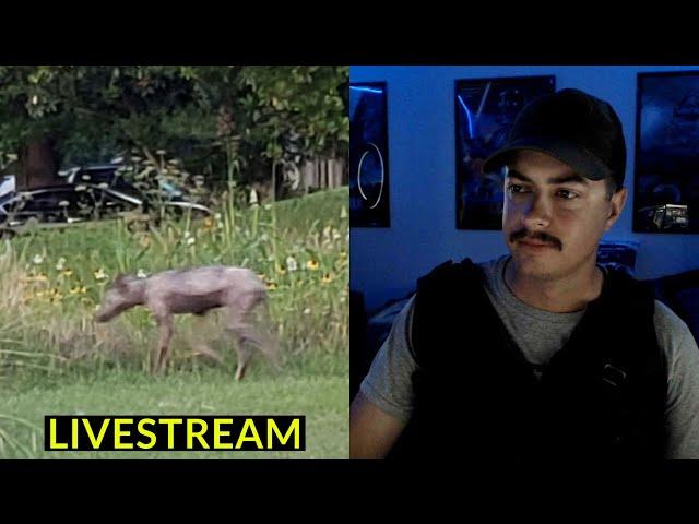 SPOOK STREAM LIVE  (CRYPTID VIDEO REACTION)