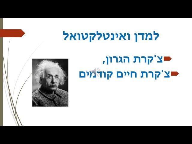 עדינה חיים - ספא לנשמה | רוחניות מעשית הצ'קרות והטיפוסים הקוסמיים