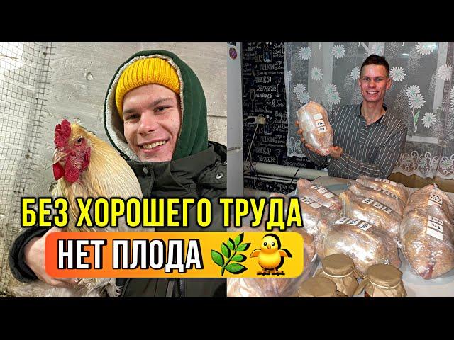 Переселили всех КУР  ИТОГИ ВЫРАЩИВАНИЯ БРОЙЛЕРОВ / ВЫВОДИМ ЦЫПЛЯТ ВСЮ ЗИМУ / Закупились кормами