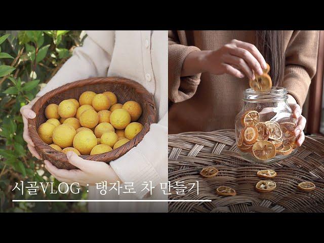 Korean rural life : Making trifoliate orange tea and Cheong/ korean desert / korea's contryside