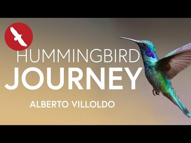 The Hummingbird JOURNEY - Alberto Villoldo