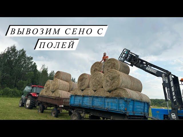Фермерские будни в полях! Отгружаем сено покупателям! Как мы столкнулись с воровством рулонов…