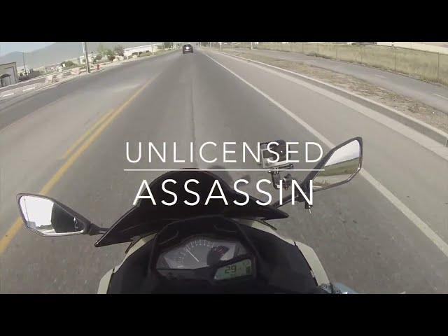  Kawasaki Ninja 300-Unlicensed Assassin “Windstorm"