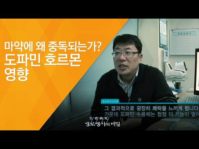 마약에 왜 중독되는가? 도파민 호르몬 영향 - (2011.1.15_358회 방송)_신년 특집, 뇌 안에 숨겨진 행복의 비밀 - 제2편 도파민