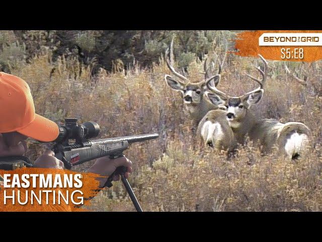 GIANT 200 inch buck! Hunting Trophy Mule Deer (Eastmans’ Hunting Journals)