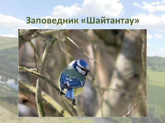 «Башкирские самоцветы». Хайбуллинский район