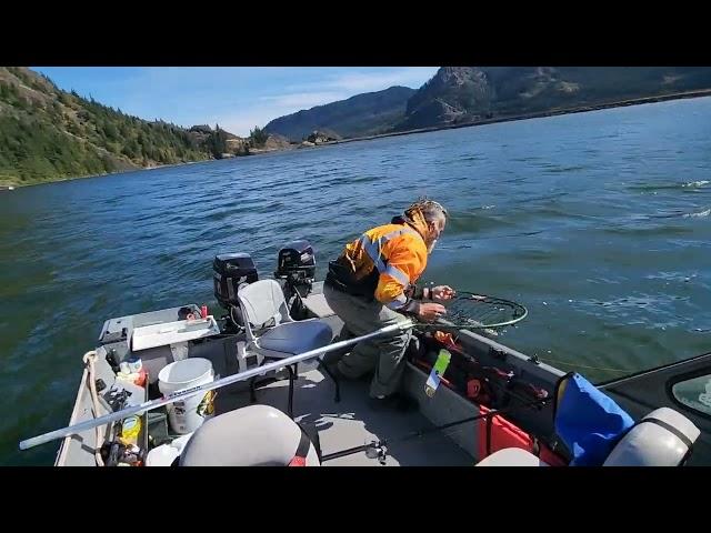 Steelhead on a SuperBait on Drano Lake. Fish was released unharmed.