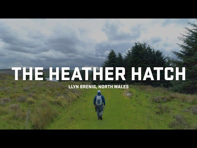 The Heather Hatch