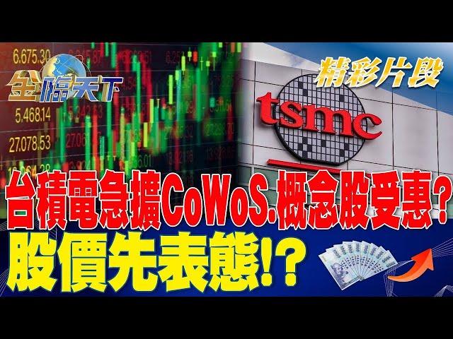 台積電急擴CoWoS產能.概念股受惠？股價先表態！？ | 金臨天下 20230720