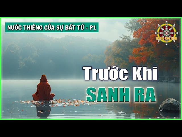 Ta đã là gì trước khi nhập thai? | Nước Thiêng Của Sự Bất Tử - phần 1