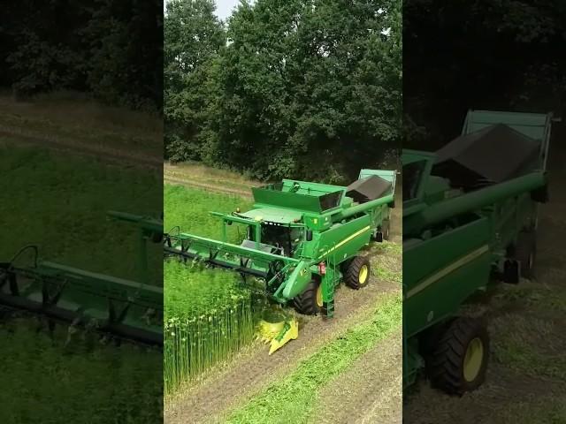 Hemp Harvest @TonnieStamTSN  John Deere T660i Double Cut Combine #farming #agriculture #agro