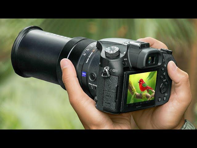 Best Zoom Cameras of 2024 - Top Superzoom Cameras 2024