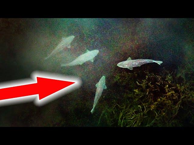 100+ EPIC Fishing Moments