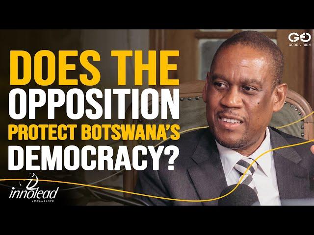 Dumelang Saleshando On The Role Of Opposition In A Functioning Democracy