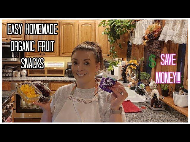 DIY HOMEMADE ORGANIC FRUIT SNACKS YOUR KIDS WILL LOVE