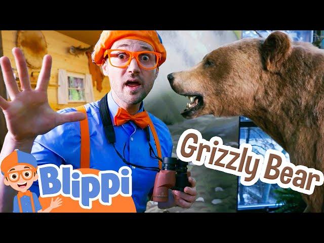 Blippi Visits a Bear at the Nature Center! Animal Videos for Kids